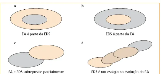 Figura 2 – Perspectivas sobre a relação entre EA e EDS. 
