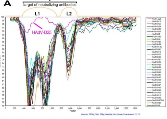 Figure 4. Computational analysis of the hexon gene. (A) SimPlot analysis of the HAdV-D59 hexon coding sequence