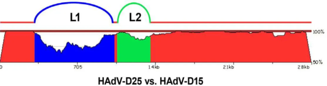 Table 2. Neutralization of HAdV-D59 with hyper immune serum.