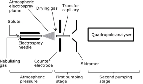 Figure 2.17: Scheme of an electrospray ion source. Adapted from reference 17. 