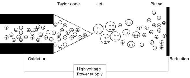 Figure  2.18:  Representation  of  Taylor  cone  formation,  ejection of  a  jet  and  the  spray  formation