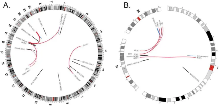 Figure 5. Fusion breakpoints are biased to 5 9 end of the genes.