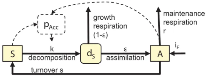 Fig. 1. Flowchart of the minimal decomposition model