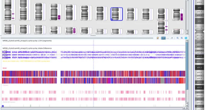 Figura 7 - Vista geral do software ChAS v.3.0 (Affymetrix, EUA) pós processamento dos dados da CMA,  evidenciando  na  parte  superior  da  tela  o  carioview  com  os  cromossomos  humanos  enumerados,  na  parte inferior as sondas hibridadas no chip