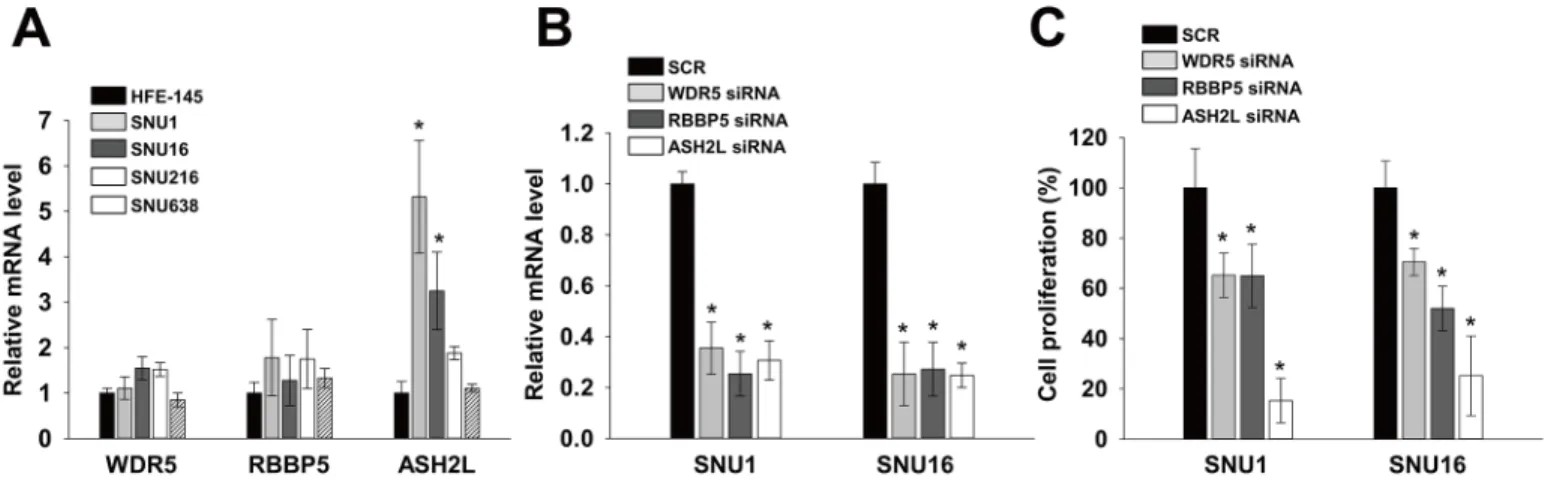 Fig 3. WRAD components regulated proliferation of gastric cancer cells. (A) The mRNA levels of WDR5, RBBP5 and ASH2L in HFE145, SNU1, SNU16, SNU216 and SNU638 cells were determined by real-time PCR, using specific primers for WDR5, RBBP5 and ASH2L