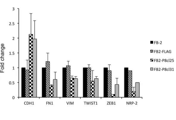 Fig 4. Effect of NRP2 downregulation on EMT in thyroid cancer cells. (A) qRT-PCR analysis was performed on total RNA prepared from wild-type FB-2 cells and individual Pax8 stable clones