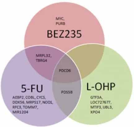 Fig 5. Venn diagram showing differentially expressed genes with respect to treatment response to a) 5-FU, b) L-OHP, and c) BEZ235B.