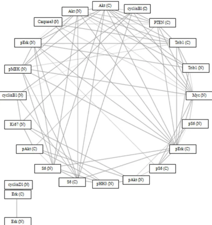 Fig 9. Spearman ’ s correlation network using Bonferroni Correction (p = 0.05) and circular network layout (http://www.tmanavigator.org/).