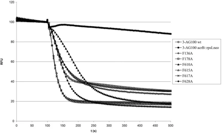 Table 1. Efflux half times (EHT) in AcrB binding pocket mutants derived from 1,2 9 -DNA efflux assays over a duration of 400 s at different dye loading concentrations.