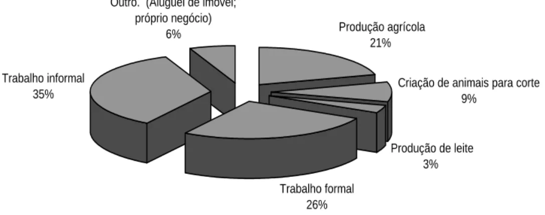 Figura 4 – Atividades econômicas e de geração de renda desenvolvidas em Santa Fé. 2010.