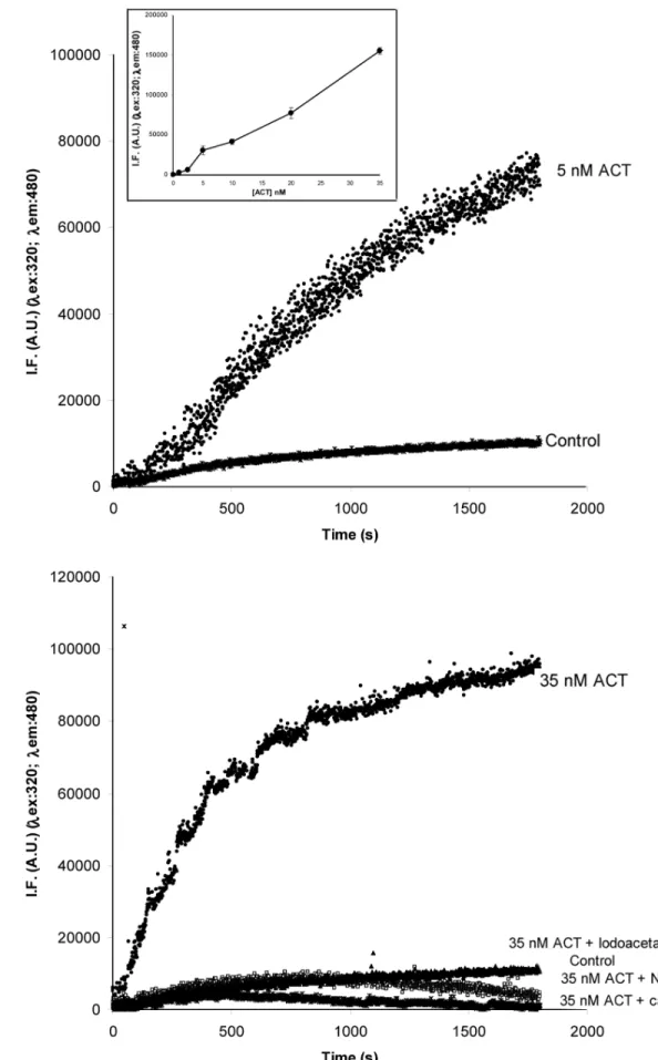 Figure 6. Fluorimetric calpain activity assay. Fluorimetric calpain activity assay using a cell permeable FRET-based substrate (DABCYL)-TPLK- (DABCYL)-TPLK-SPPPSPRE(EDANS)RRRRRRR-NH2 (20 mM) incorporated into J774A.1 cells