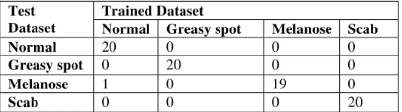 Table 4: Classification Results for LDA Classifier 