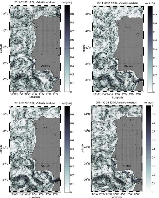 Fig. 4. Snapshots of sea surface current field predicted by the model from 22 to 28 February 2011.