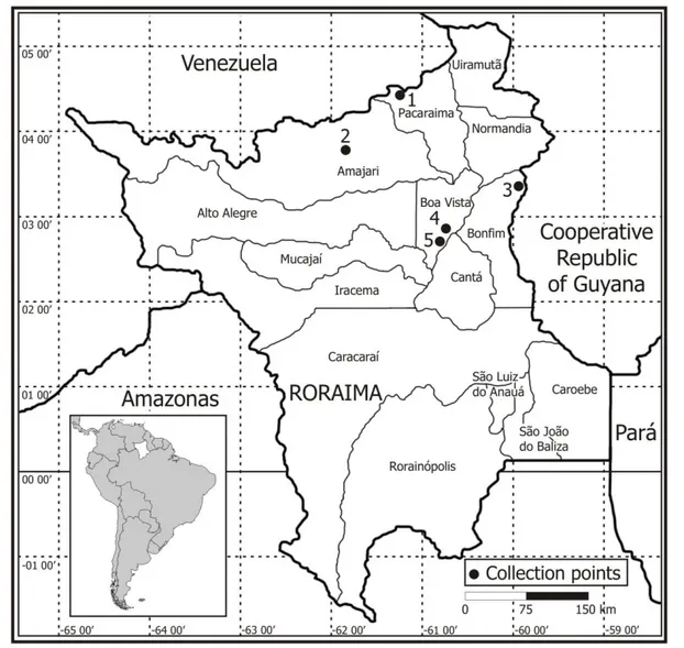 Figure  1.  Map  of  the  state  of  Roraima  showing  the  locations  of  the  McPhail*  traps  used  for  chrysopid collection in the four studied municipalities