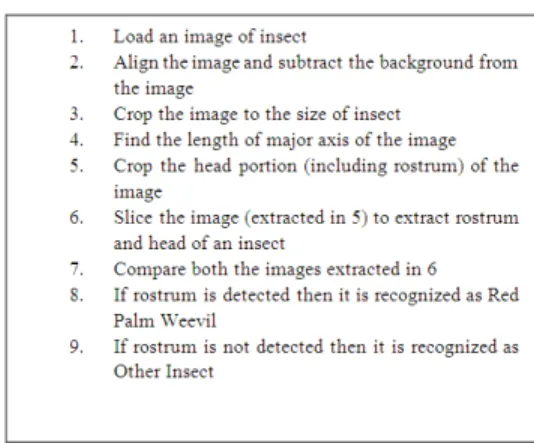 Fig. 11: Algorithm of rostrum analysis 