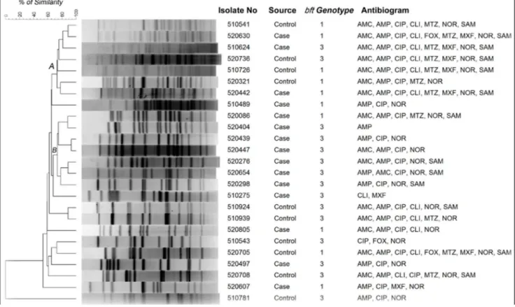Figure 1. Not1 restriction patterns of genomic DNA of enterotoxigenic B. fragilis isolates.The dendrogram was generated by using UPGAMA method.
