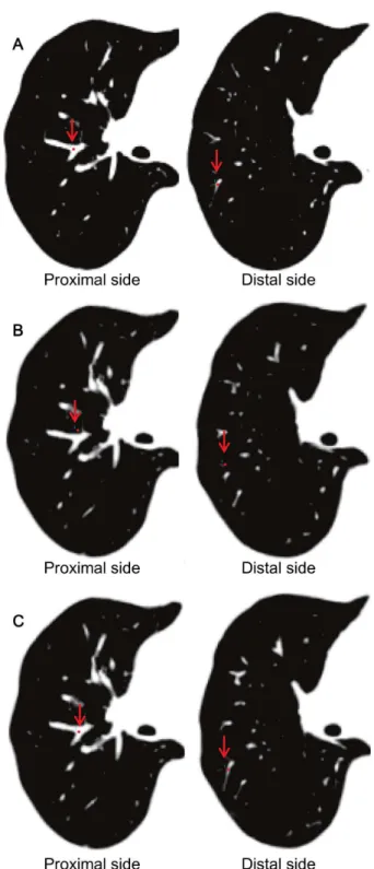 Figure 1. The procedure for the landmark-based registration accuracy measurements by DiffeoMap