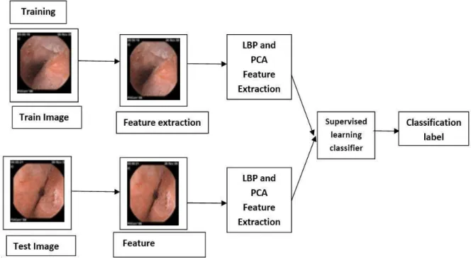 Fig 2: Block Diagram of the Proposed Method 