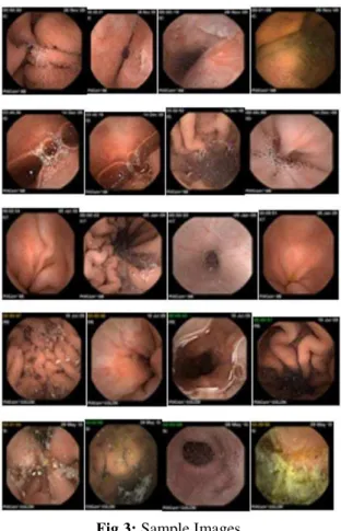 Fig 3: Sample Images 