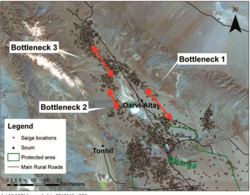 Figure 2. Potential Bottlenecks along Saiga Migratory Corridors