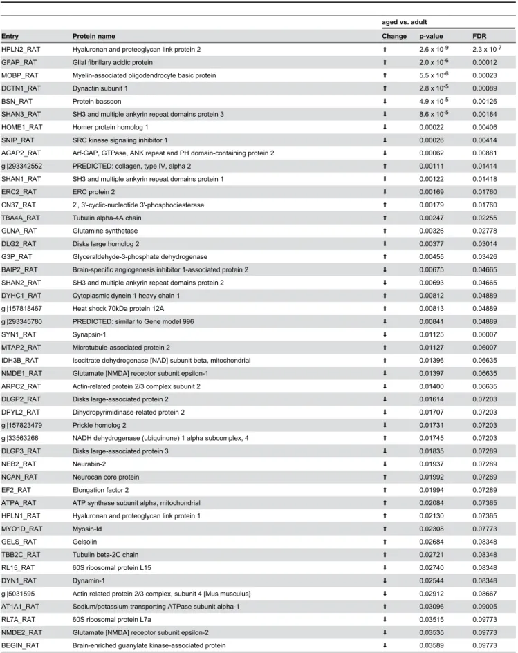 Table 2. Proteins significantly altered comparing the insoluble proteome of aged and adult rat hippocampi.