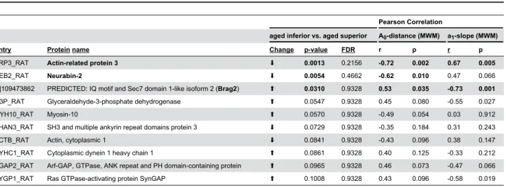 Table 1. Top 10 proteins altered comparing the insoluble proteome of aged inferior and aged superior rats.