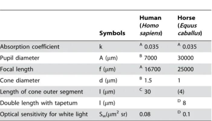 Table 2. Relative quantum catches for horse photoreceptors