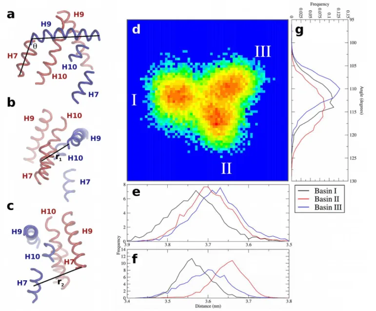 Fig 7. Characterization of PPARγ-RXRα tertiary structure dynamics at the LBD-LBD interface of the holo complex