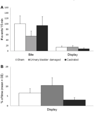 Fig. 5. Frequency (A) and duration (B) of aggressive behaviors directed towards the neighboring male during the social challenge at day 9 (mean number of events in 15 min ± SE)