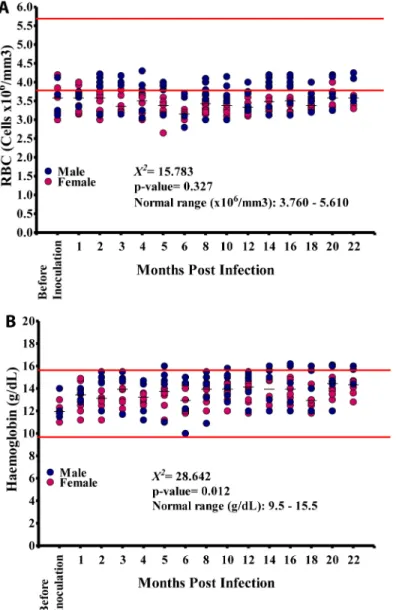 Fig 3. Red blood cell (RBC) and hemoglobin values in the 15 baboons during the course of the infection