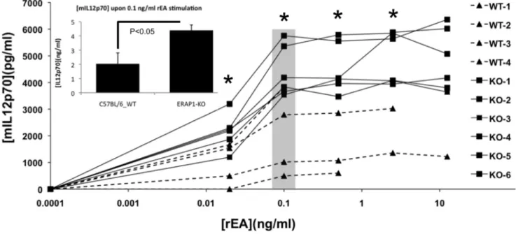 Figure 7. Dendritic cells derived from ERAP1-KO mice exhibit dramatically enhanced IL12p70 release when stimulated with TLR agonist rEA