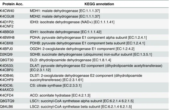 Table 3. Succinylated proteins involved in tricarboxylic acid cycle.