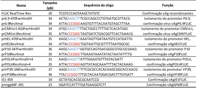 Tabela  1:  Lista  dos  oligonucleotídeos  utilizados.  Realçado  em  azul  a  sequência  de  clivagem  da  enzima  de  restrição HindIII, em vermelho a sequência da enzima XmaI