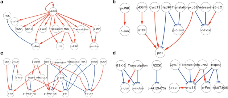 Figure 5. Comparison of signaling network among three cancer cell lines. (a) Common EGF-induced signaling network among three cancer cell lines