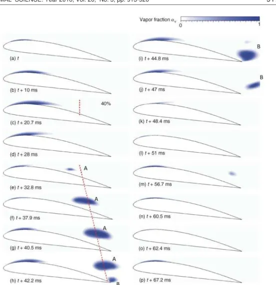 Figure 5. Simulation results of cavity evolution in transition stage in one typical period, s = 1.2