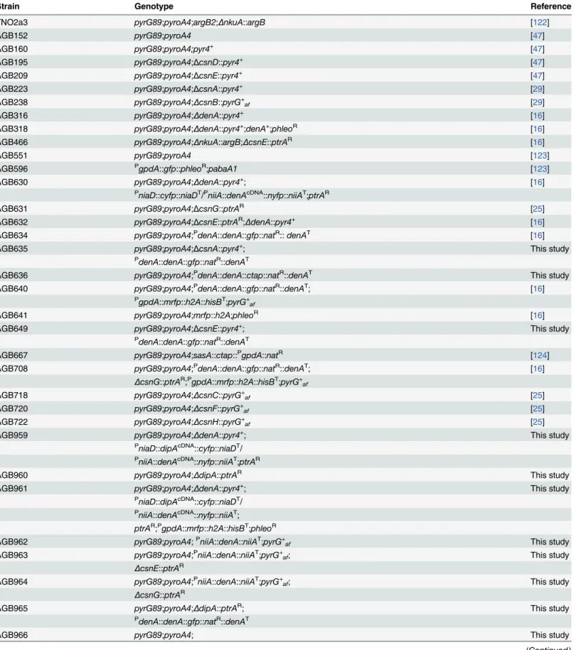 Table 2. A. nidulans strains constructed and used in this study.