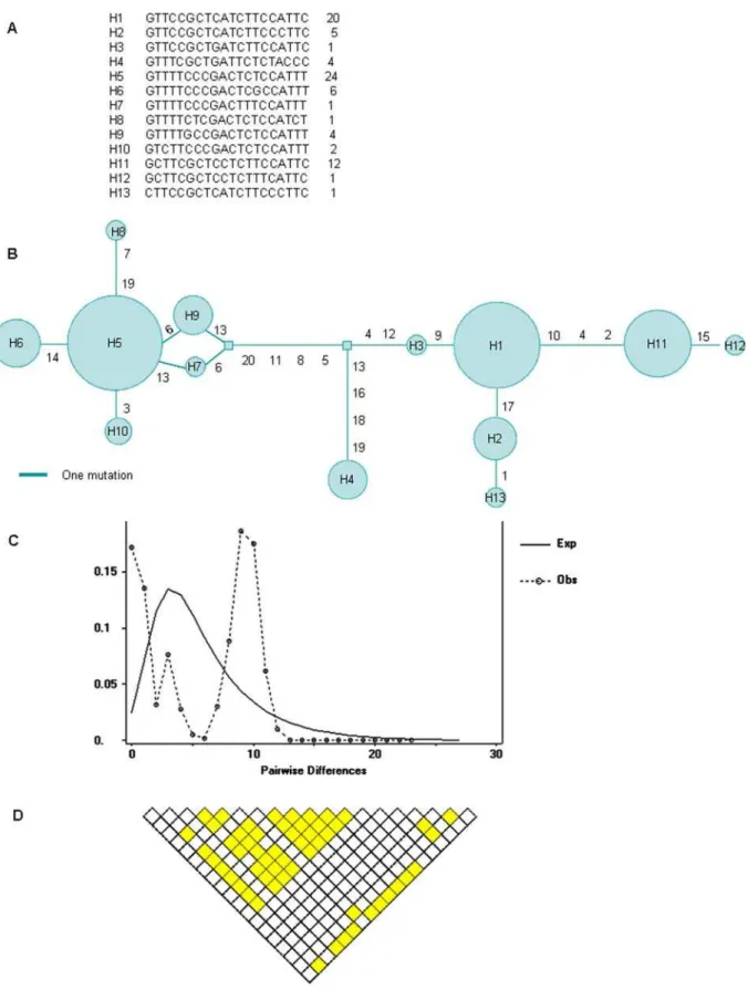 Figure 1. Genetic variation analyses in the LMBR1 intron 5 among 41 East Asian individuals