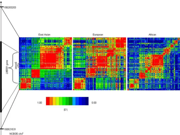 Figure 3. Nucleotide diversity (p) of previous reported balancing selection genes and the LMBR1 intron 5 studied here