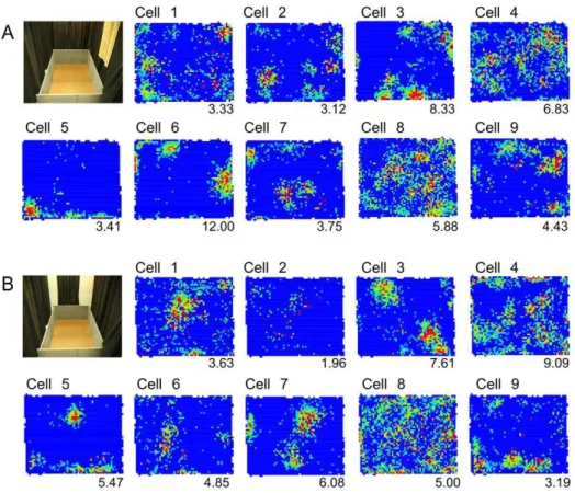 Figure 6. An example of remapping in an ensemble of DG cells. A) The standard and B) the altered visual environments