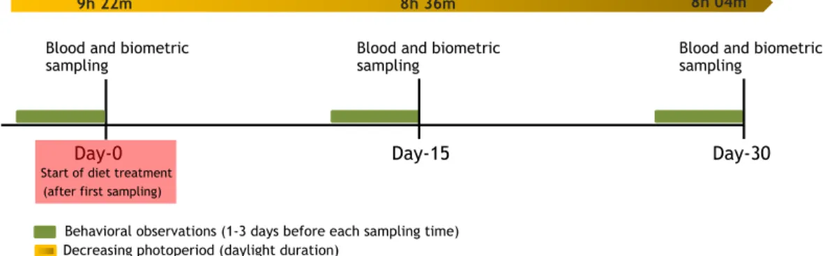 Figure 1 Timing of the experiment.
