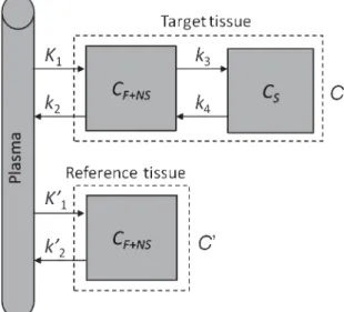 Fig. 1. Two-tissue compartment model with reference region.