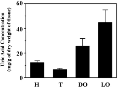 Figure 2. Uric acid concentration evaluation of the light organ and other firefly tissues