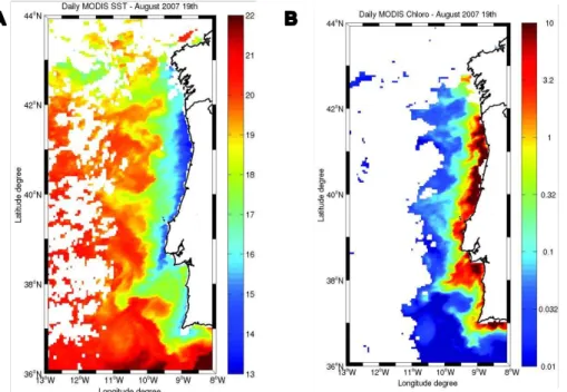 Fig. 2. Satellite images of sea surface temperature (SST) and Chl-a concentration on 19 August 2007