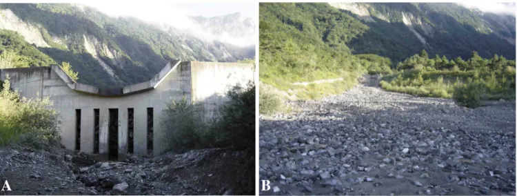 Fig. 4. View of the sediment trap after a debris-flow with (A) the dam blocked by the boulder front with tree debris and (B) the rest of the trap filled with finer sediment.