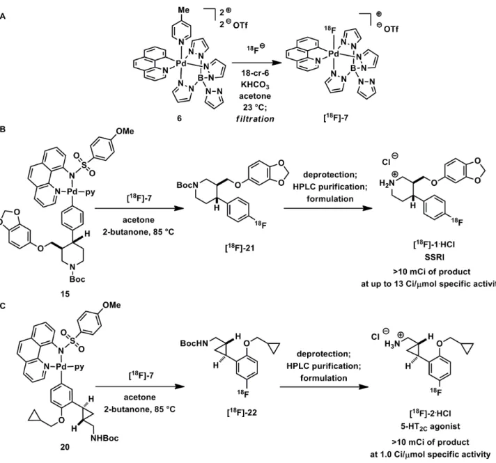 Figure 8. Palladium-mediated synthesis of [ 18 F]-1 and [ 18 F]-2 using [ 18 F]-7 derived from [ 18 F]fluoride