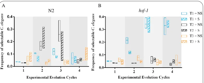 Figure 9 – Frequency of selectable C. elegans for each time-point.  