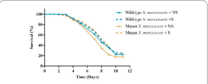 Figure 10 – Survival of N2 individuals fed on wild-type and mutant S. marcescens.  