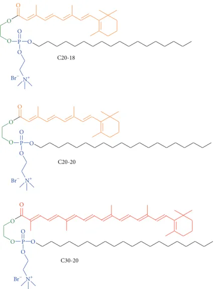 Figure 1: C20-18, C20-20, and C30-20 cationic amphiphilic glycol polyene phospholipids