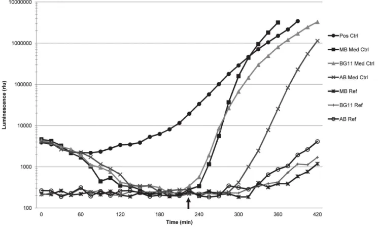 Figure 3. Light production of the media control wells and media reference wells in the AI-2 reporter assay