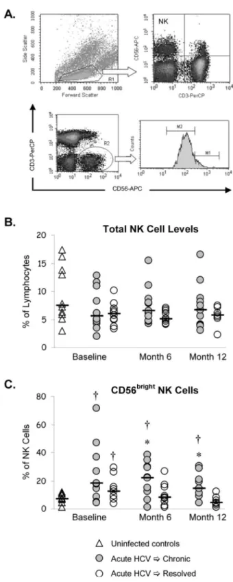 Figure 1. Frequency of NK cells and the immature/regulatory CD56 bright subset in acute HCV infection
